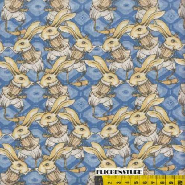 Riddles & Rhymes - Bunny Rabbit by Tina Givens